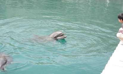 049_muroto.jpg