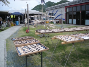 051_muroto.jpg