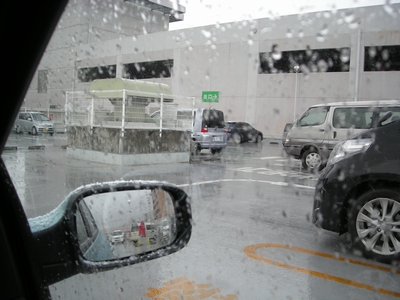 DSCN1271_jusco.JPG