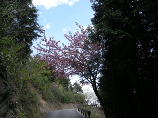 DSCN1350_take.JPG