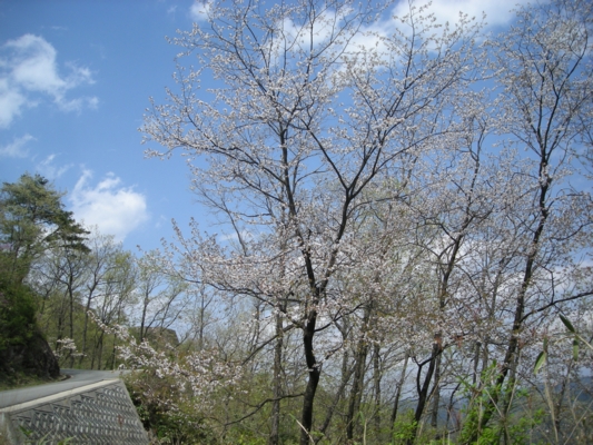 DSCN1354_take.JPG