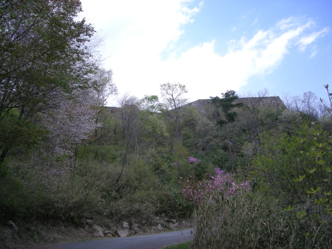 DSCN1363_take.JPG