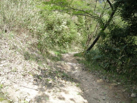 DSCN1367_take.JPG