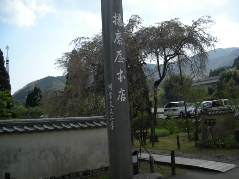 DSCN1448_hari.JPG