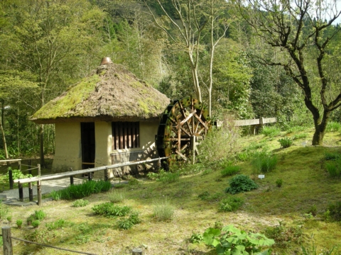 DSCN1452_hari.JPG