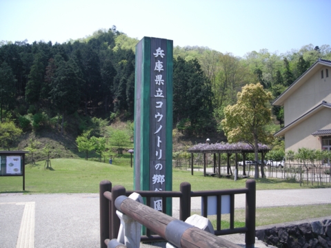 DSCN1471.JPG