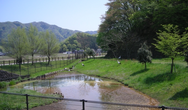 DSCN1473.JPG