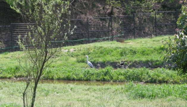 DSCN1474.JPG