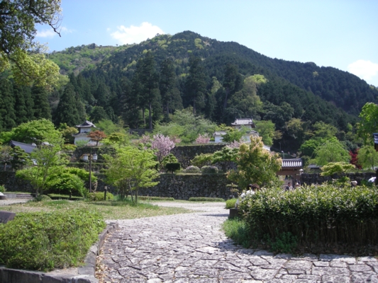 DSCN1494.JPG