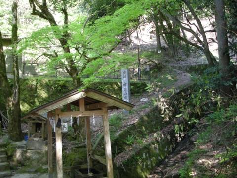 DSCN1511.JPG