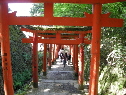 DSCN1514.JPG