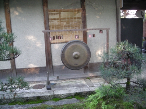 DSCN1529.JPG