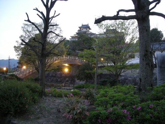DSCN1531.JPG