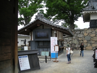 10s_1591.jpg