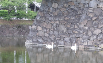 10s_1601.jpg