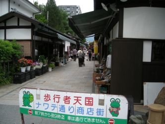 10s_1608.jpg