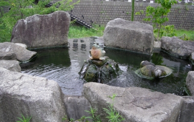 10s_1609.jpg