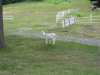 10s_1679.jpg