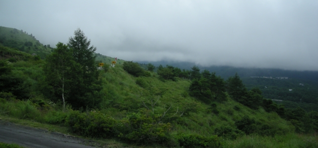 10s_1709.jpg