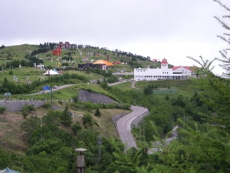 10s_1731.jpg