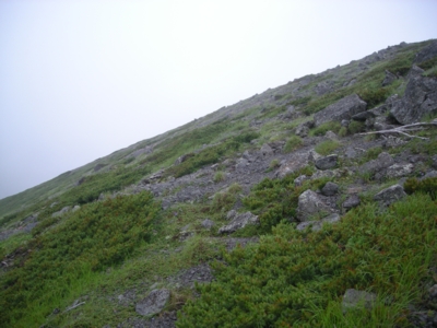 10s_1819.jpg