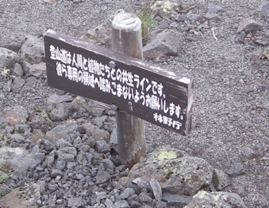 10s_1820a.jpg