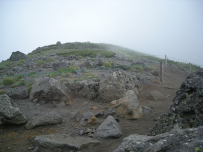10s_1823.jpg