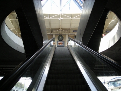 DSCN0220.JPG
