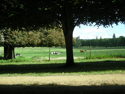 DSCN0430.jpg