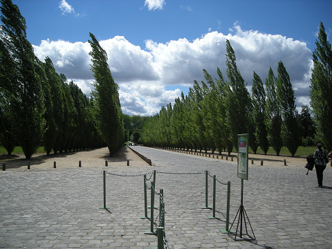 DSCN0456.jpg
