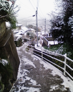 019_2_sasebo.jpg